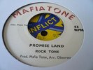 Rock Tone Promise Land Rare Killer Roots 7