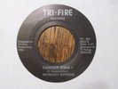 MIDNIGHT EXPRESS Danger Zone TRI-FIRE RARE SOUL/BOOGIE 45