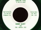 Randy Alvey Green Fuz Lo Fi Garage Punk Mod Nuggets The Cramps Listen