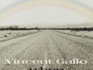 VINCENT GALLO - WHEN (warp lp87) very rare 2011 gatefold