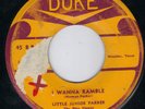 FANTASTIC DUKE BLUES BOP R&B ROCKER  ROCKABILLY - LITTLE JUNIOR PARKER HEAR