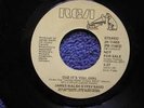 JAMES WALSH GYPSY BAND - CUZ IT`S YOU GIRL -   RARE DEMO - FLOORFILLER   LISTEN