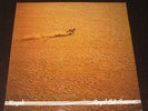 Kayak rare '75 Dutch PROG KILLER LP Royal Bed Bouncer EX+ 1st press  CAMEL