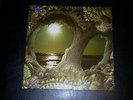 ST MIKAEL In Harmony LP psych rock dungen tame impala witchcraft krautrock 500
