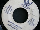Modern Soul 45 THE FABULOUS KINGS on MUSIC KINGDOM If You Like/Who You Are rare