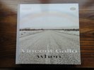 Vincent Gallo When Warp LP