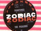 THE PLEAZERS 