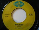 MAYTONES LOVING REGGAE / ROY SAMUEL MUSICAL BEAT BLUE CAT SKINHEAD Listen