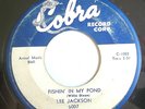BLUES DEEP SOUL 45-LEE JACKSON-FISHIN IN MY POND /ILL J