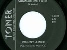JOHNNY AMICO Summertime Twist RARE GARAGE TEEN 45 on TONER