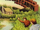 LP The Ozark Mountain Daredevils The Lost Cabin Sessions / prof. gereinigt
