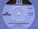 Montanas - Step In The Right Direction (Pye UK 1968) Mod Psych Groover LISTEN
