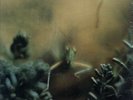 SEALED ORIGINAL STEELY DAN LP   KATY LIED   1975 ABC #846 SS