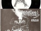 SEPULTURA Live 7