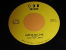 THE FOLKLORDS / UNSPOKEN LOVE / on COB  RARE PSYCH