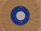 Dynamic Heartbeats - Danger / It Aint No Secret - P.S.Records