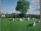The KLF – Chill Out