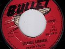 PETER TOUCH/GLEN ADAMS/SKINHEAD REGGAE/BULLET BU414/1969..LISTEN