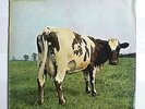 THE PINK FLOYD