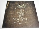 BLACK MOTH SUPER RAINBOW-THE AUTUMN KALEIDOSCOPE GOT CHANGED-LP/VINYL