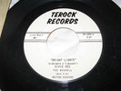 TED RUSSELL & HIS RHYTHM ROCKERS 45(TEROCK 1000)BRIGHT LIGHTS//100-200 VALUE