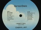 CHERYL JAY I Want It All PRIVATE MODERN SOUL/BOOGIE 12
