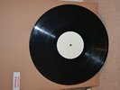 Mary Hopkin Earth Song Ocean Song original 1971 WHITE LABEL PROMO Apple Records