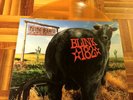 Blink 182 - Dude Ranch MTS Vinyl OOP Clear Orange