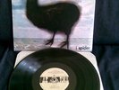 Lp RARO - Web 