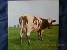 PINK FLOYD    ATOM HEART MOTHER  NEAR MINT CONDITION