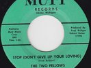 STOP (DON'T GIVE UP YOUR LOVING) - THE TWO FELLOWS (FRED & SKEETS) - EXCELLENT
