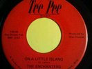 Soul Funk 45 The Enchanters Tee Pee There's a Look About You..On a Little Island
