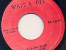 WAIT A BIT KILLER REGGAE 45 SAM BRAMWELL RULING TIME ?