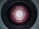 RARE GARAGE 45 - THE SQUIRES - WONDERIN' / PIECES VG+