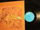 RARE 1970 ORIG   FEVER TREE   FOR SALE Hard Garage Psych + 12:56 HEY JOE & LOVE