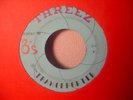 3's Threez TRANCEPORTER 45 RARE Ohio GARAGE PSYCH SUNSHINE POP Hear