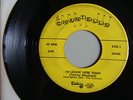 THE CHANTELLS Super Rare 60's Virginia Garage Rock Private Century label VG+