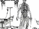 Mortician? – Brutally Mutilated