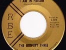 The Hungry Three-I Am In Prison-Rare Country Bluegrass 45-RBE-HEAR