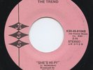 Hear - Rare Power Pop 45 - The Trend - She's Hi Fi - KSS# 8104 -  M-