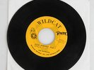 The Wetbacks Wildcat Jose Jimenez Texas Garage Popcorn 45