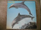 Orange Juice - You Can't Hide Your Love Forever LP - Polydor - Postcard Records