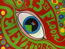 13th FLOOR ELEVATORS Psychedelic Sounds PRISTINE ORIG STEREO LP
