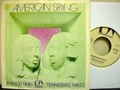 BRIAN WILSON RELATED 45 - AMERICAN SPRING - GOOD TIME PS/45 - GERMANY