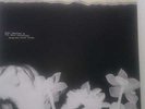 Hope Sandoval (Mazzy Star)  -Bavarian Fruit Bread  Vinyl LP