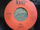 Rothadam - REBEL - Very rare and KILLER Canadian ROOTS - LMP label