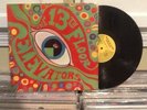 The 13th Floor Elevators 