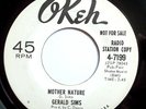 NORTHERN 45-GERALD SIMS-MOTHER NATURE /LITTLE ECHO-DJ C