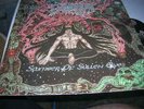 DEMIGOD      slumber of sullen eves        vinyl LP  rare  death metal