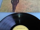 RON DAVIES - SILENT SONG THROUGH THE LAND LP - Psych Folk / Blues / Bowie